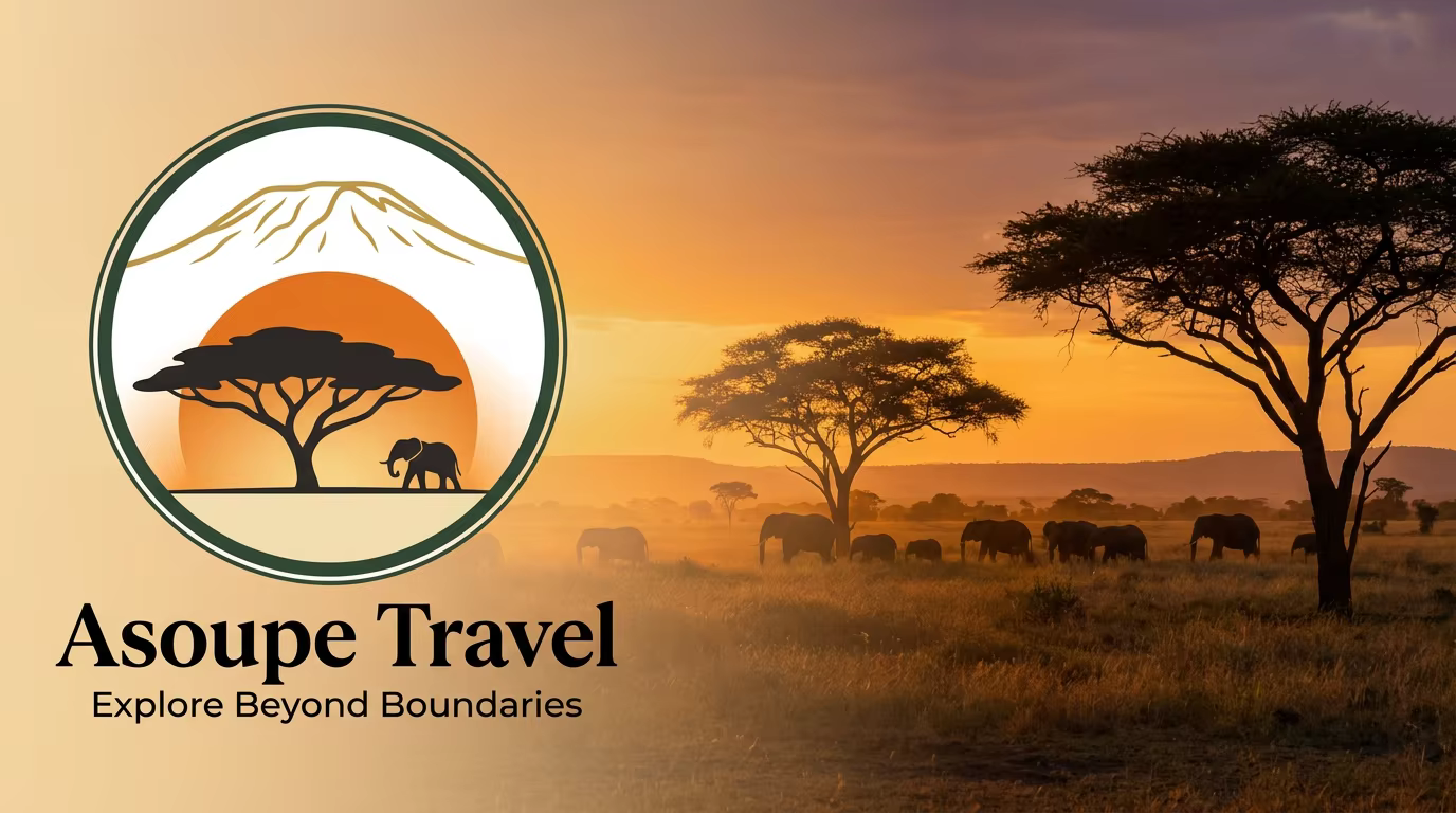 The Ultimate Packing List for a Tanzania Safari in 2026